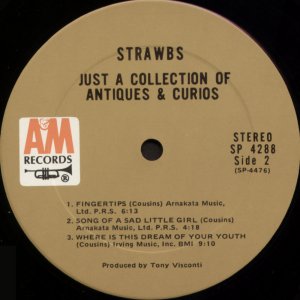 Fruit Slice Straw Charm – Midlands Vinyl