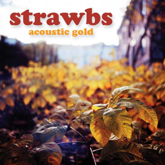 Acoustic Gold front cover
