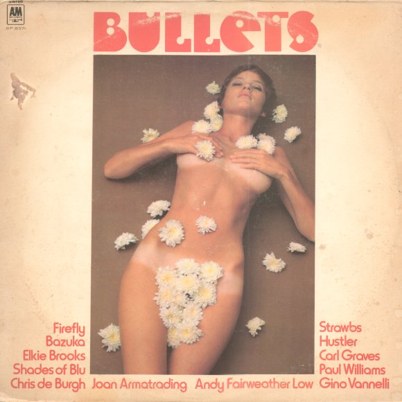 Bullets cover