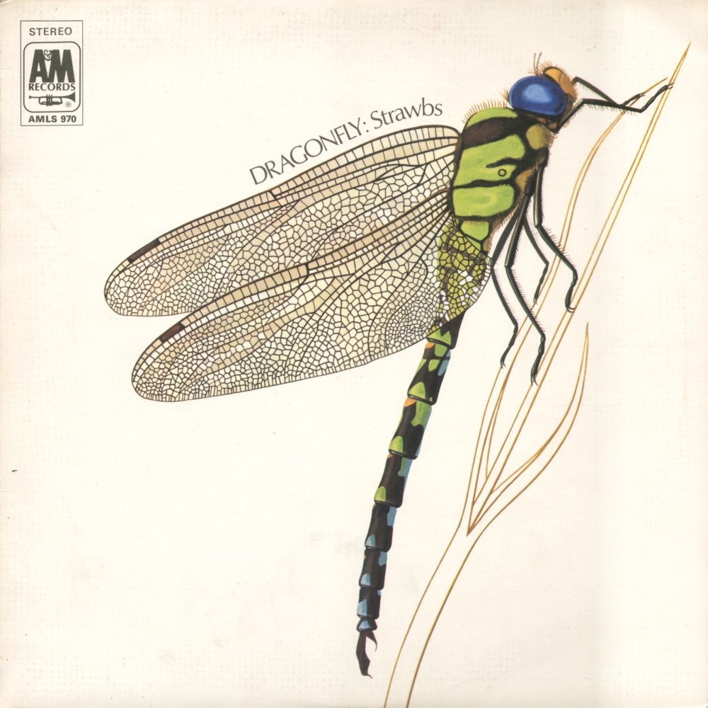 Dragonfly album front cover