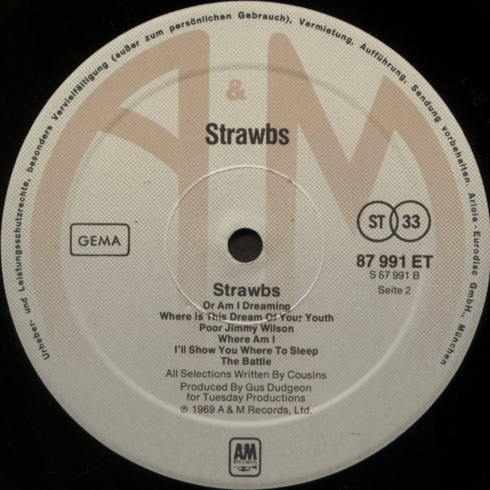 Fruit Slice Straw Charm – Midlands Vinyl